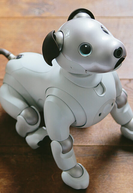 sony aibo dog robot